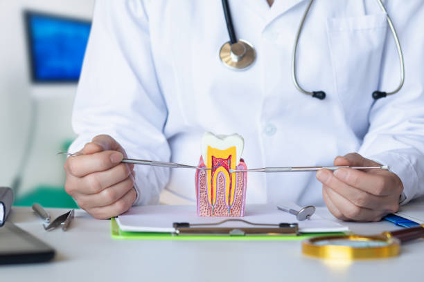 Best Weekend Emergency Dentist in Friendly, MD